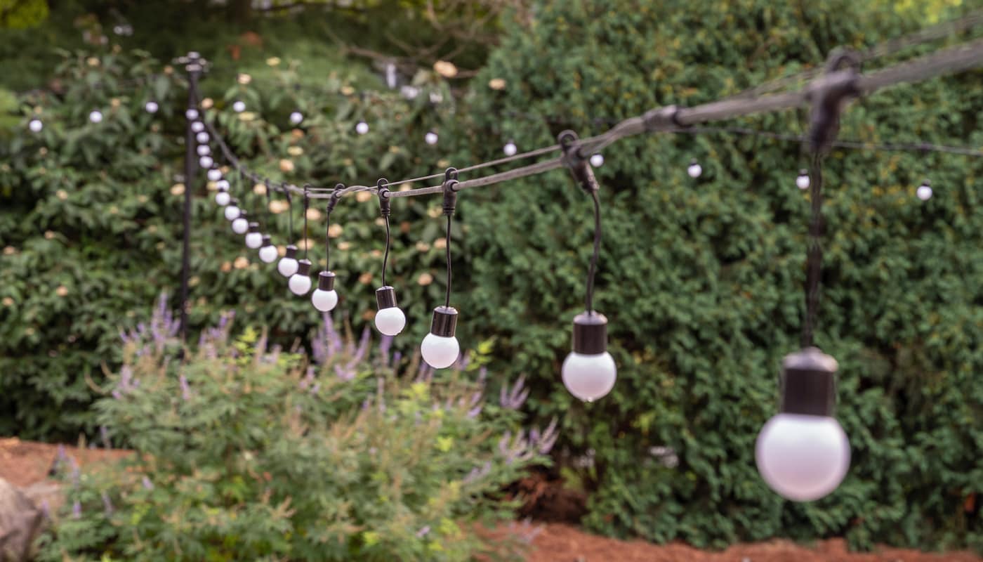 outdoor string lights in a lush backyard