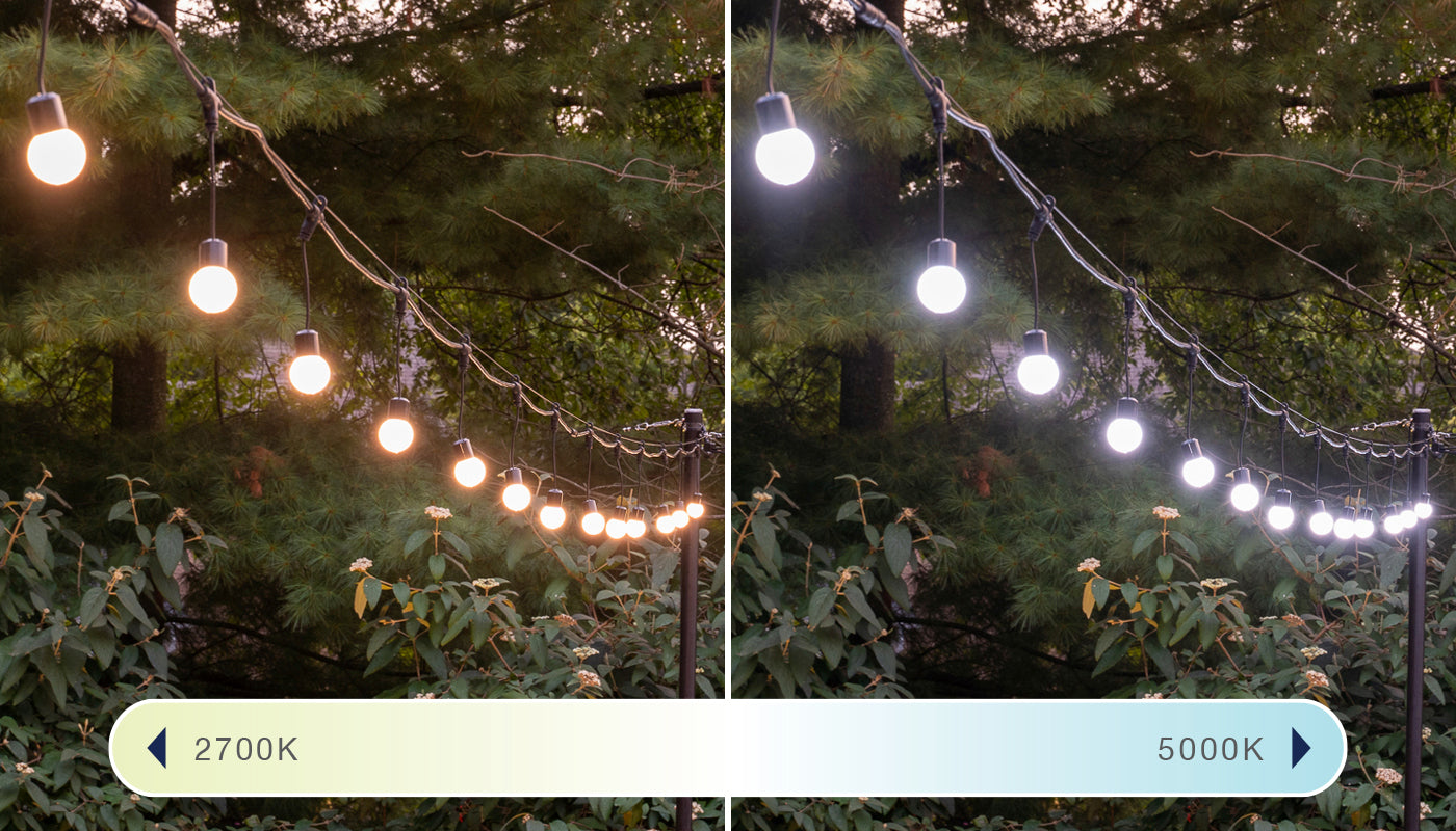 classic white string lights with color adjustment