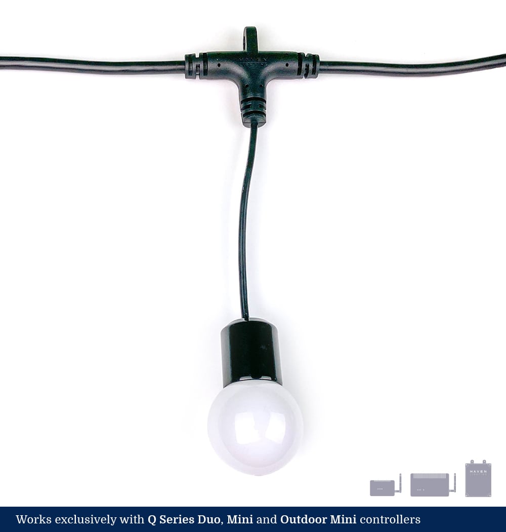 bistro lights / string lights (single light)
