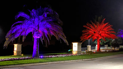 Palm trees with color changing outdoor lighting for an HOA