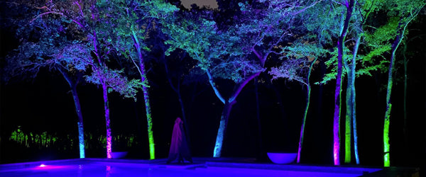 color changing outdoor lighting shown on trees