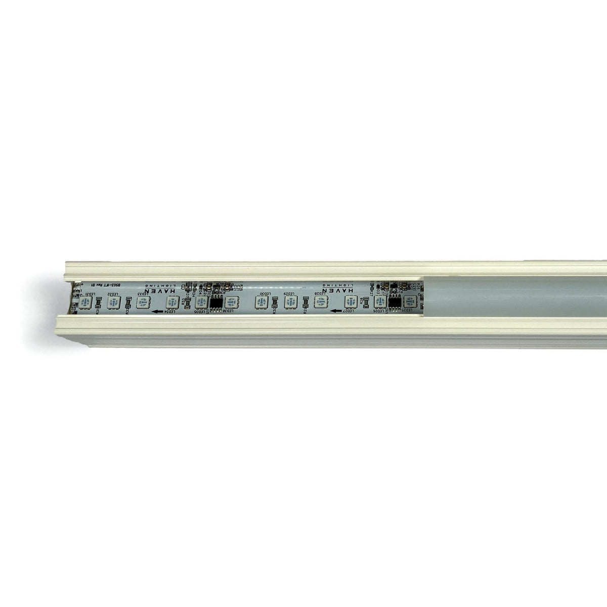 X Series Evolution - 12 Inch Light