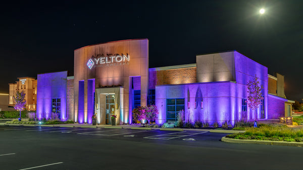 commercial landscape lights with color and app control