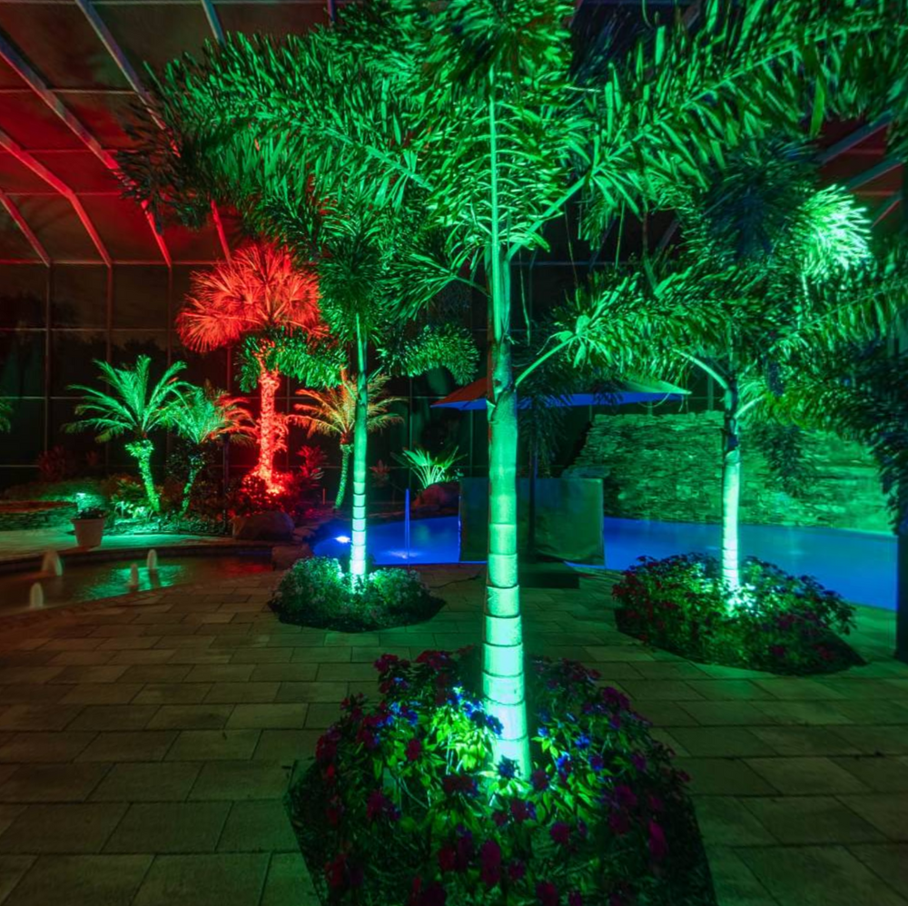 Lanai Lighting Ideas: Color Changing, LED, Pool Enclosure Lighting ...