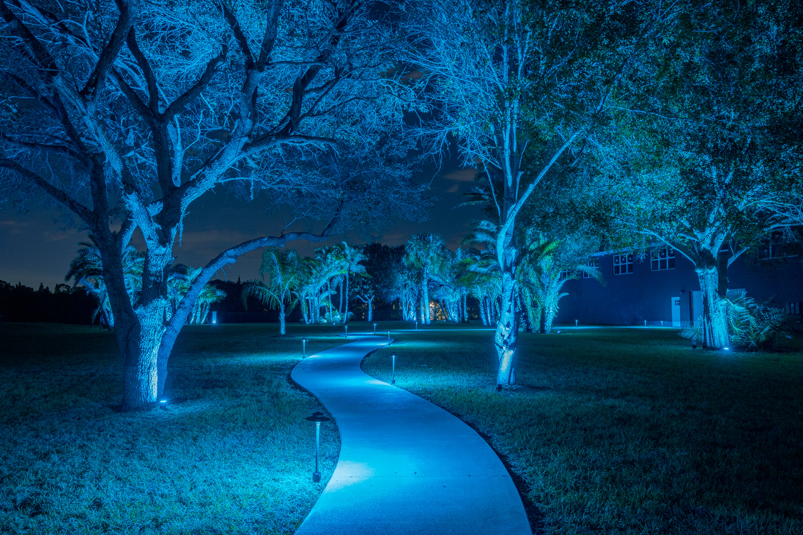 9 Series Full Color LED Path Light - Shade 5