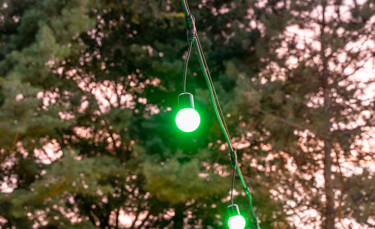 Bistro Lights displayed