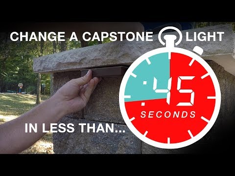 Classic White Landscape Accent Light