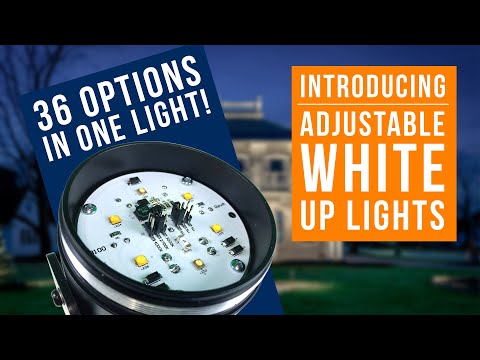 Adjustable White 3-inch Aluminum LED Up Light - Haven Lighting